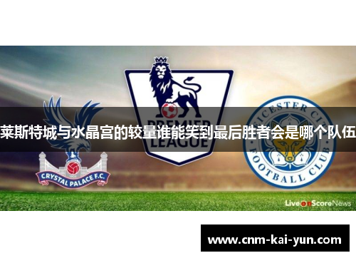 莱斯特城与水晶宫的较量谁能笑到最后胜者会是哪个队伍