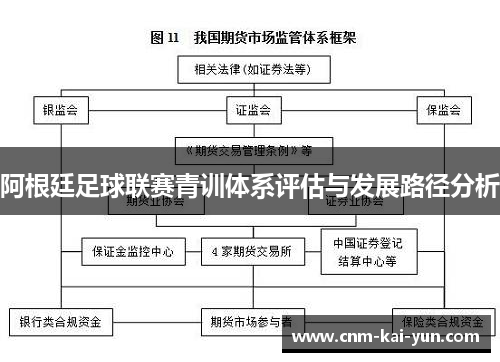 阿根廷足球联赛青训体系评估与发展路径分析