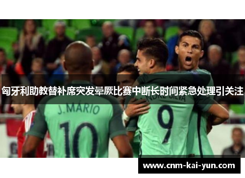 匈牙利助教替补席突发晕厥比赛中断长时间紧急处理引关注 匈牙利助教替补席突发晕厥比赛中断长时间紧急处理引关注